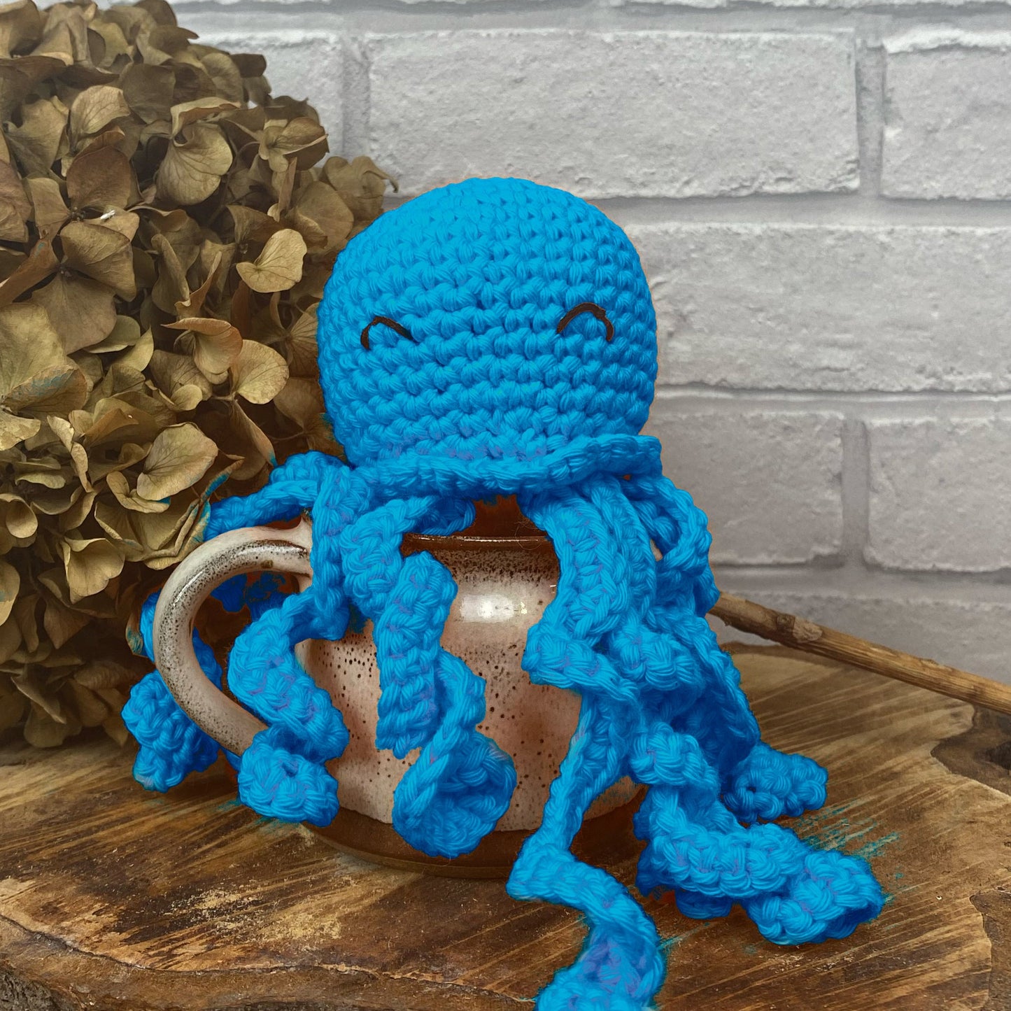 Octopus Amigurumi, 22nd October, Pewsey