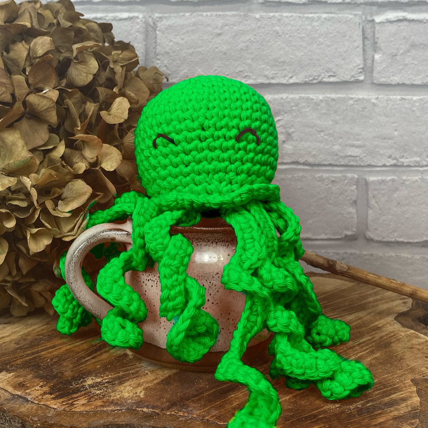 Octopus Amigurumi, 22nd October, Pewsey
