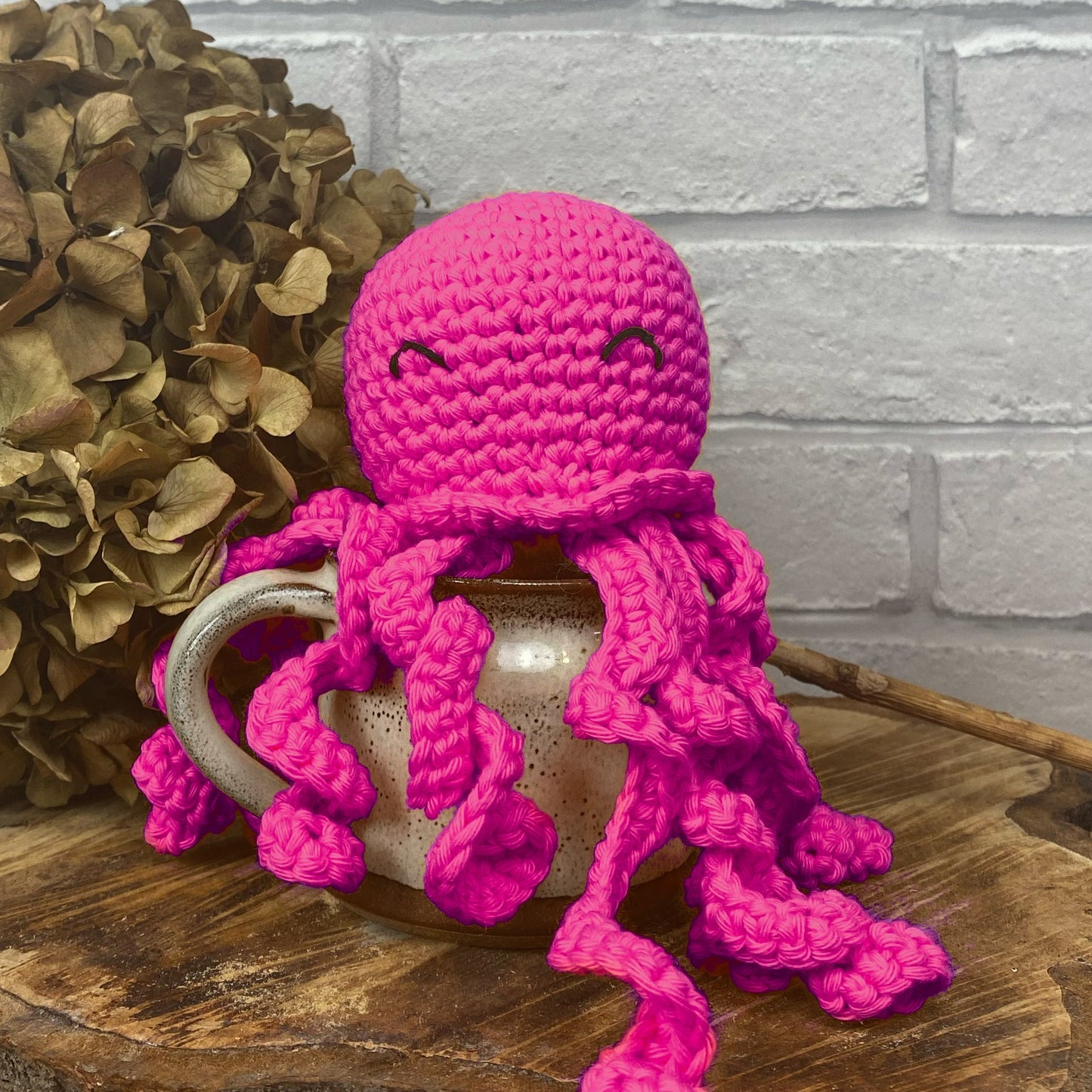 Octopus Amigurumi, April 21st, Pewsey