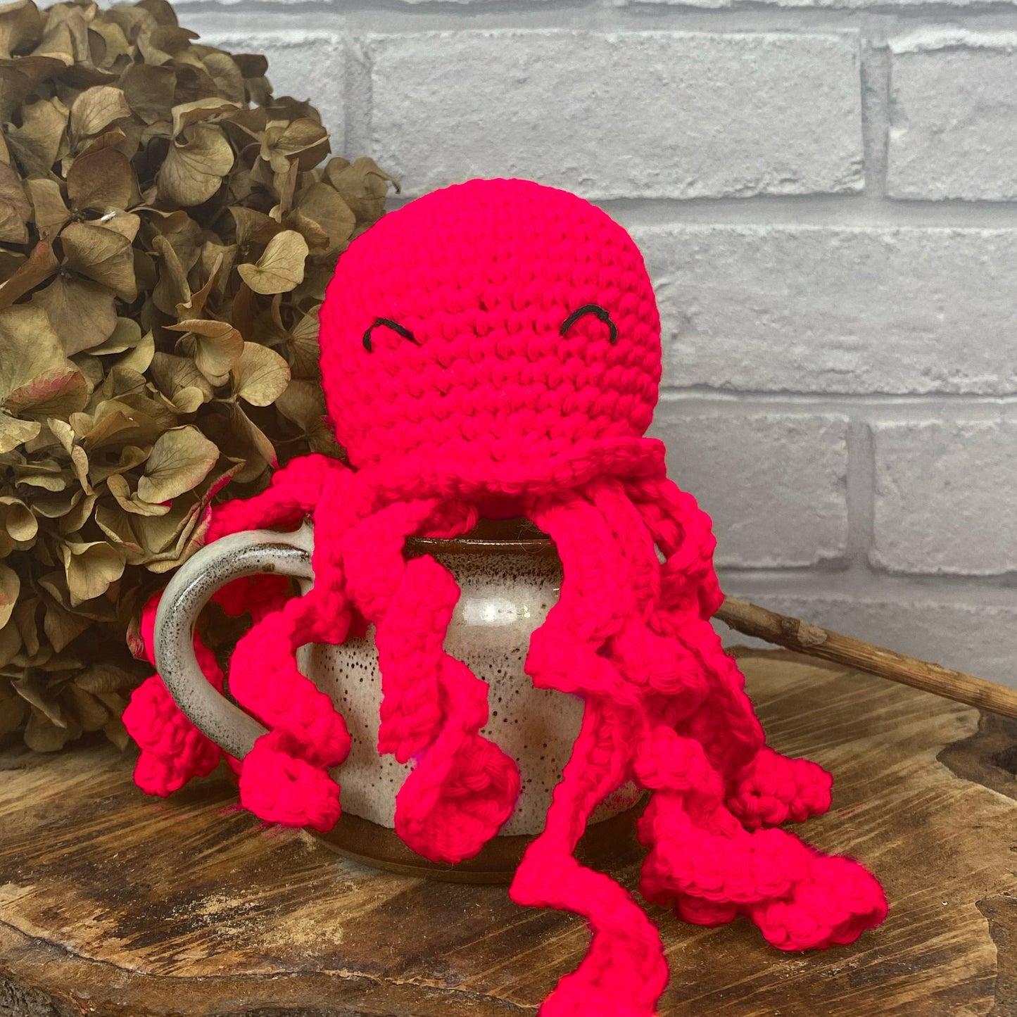 Octopus Amigurumi, 22nd October, Pewsey