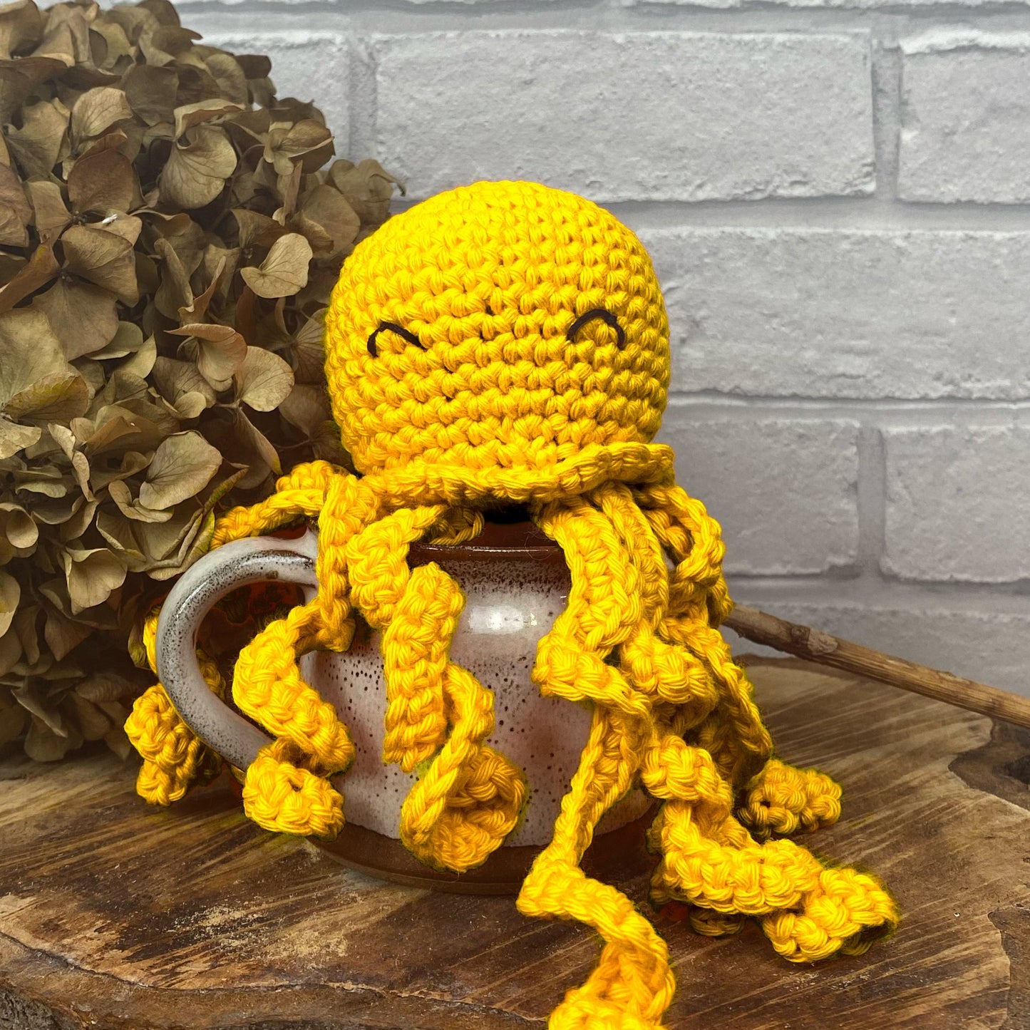 Octopus Amigurumi, 22nd October, Pewsey