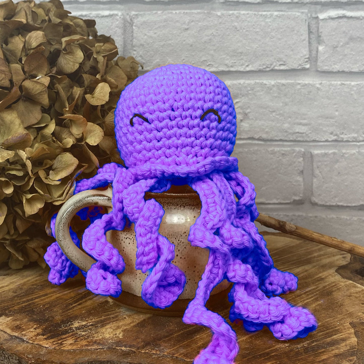 Octopus Amigurumi, 22nd October, Pewsey