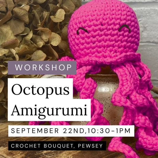 Octopus Amigurumi, 22nd September, Pewsey