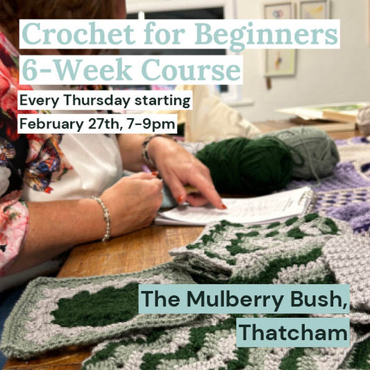 Beginner's Crochet Class - 6 Week Course - Thatcham, from February 27th