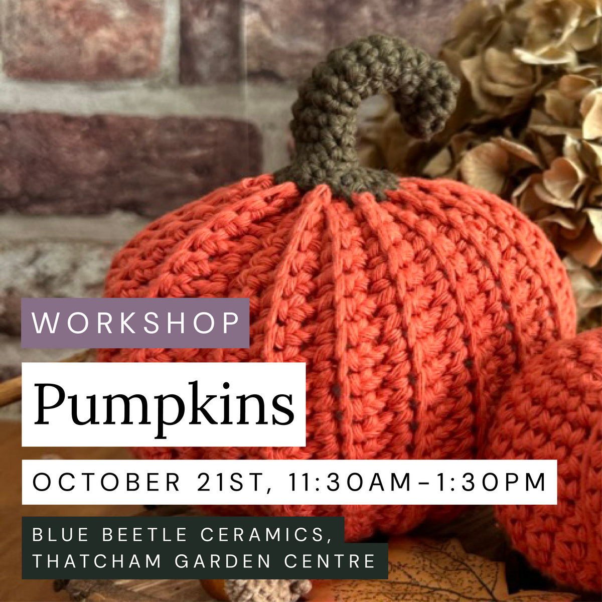 Pumpkin Amigurumi, October 21st, Thatcham