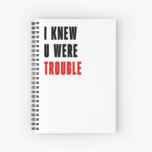 I Knew U Were Trouble Notebook